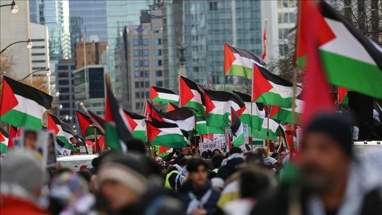 متضامنون مع فلسطين