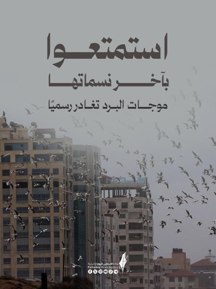 حالة الطقس في غزة.jpeg