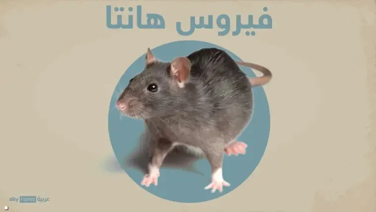 فيروس هانتا