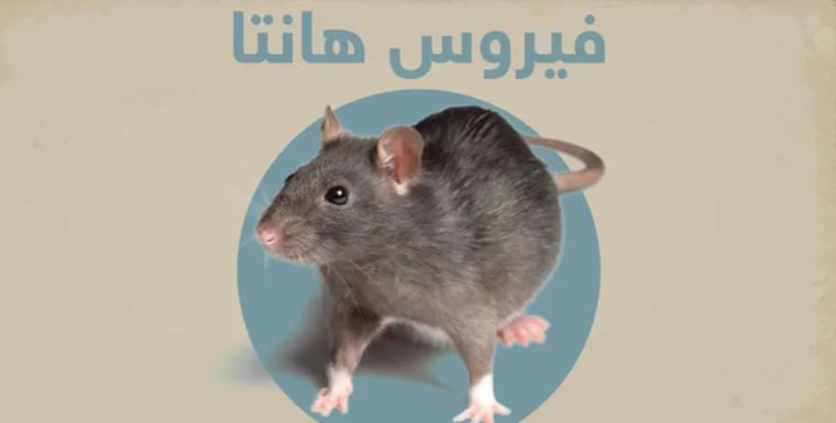فيروس هانتا