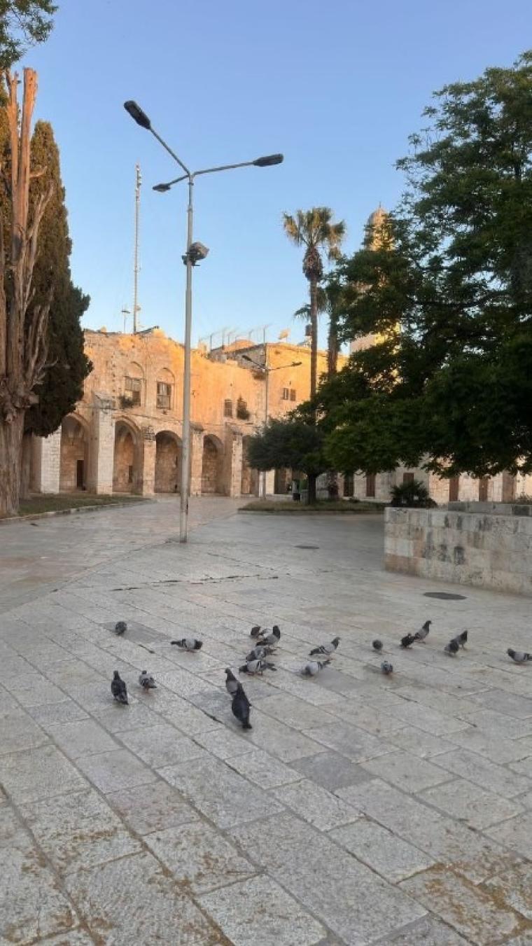 المسجد الاقصى
