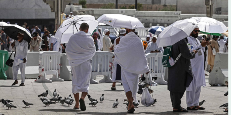 بث مباشر صعود الحجاج إلى صعيد عرفة 2026