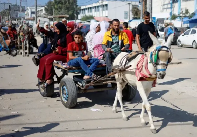 عربة يجرها حمار في غزة