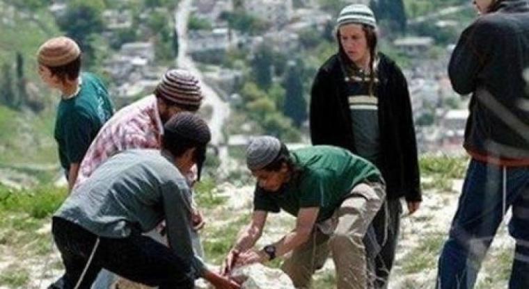 نبع الحمة