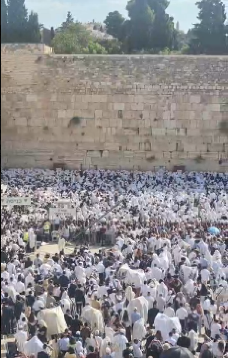 حائط البراق.PNG