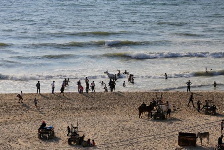 مشهد من تغول الحمير على شاطئ بحر غزة