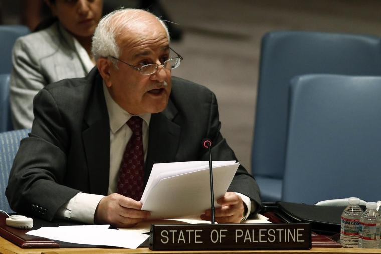 سفير فلسطين في الأمم المتحدة رياض منصور 