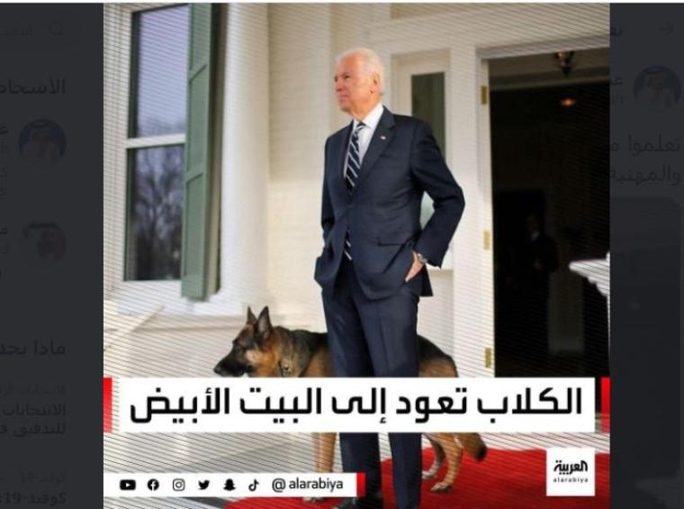 صورة الكلاب تعود إلى البيت الأبيض سقطة مهنية من قناة العربية السعودية.JPG