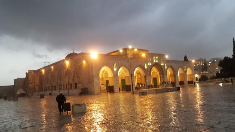 المسجد الاقصى ستوري