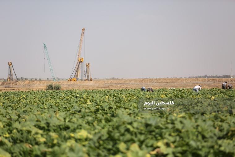 مزارعين على حدود غزة (3).JPG