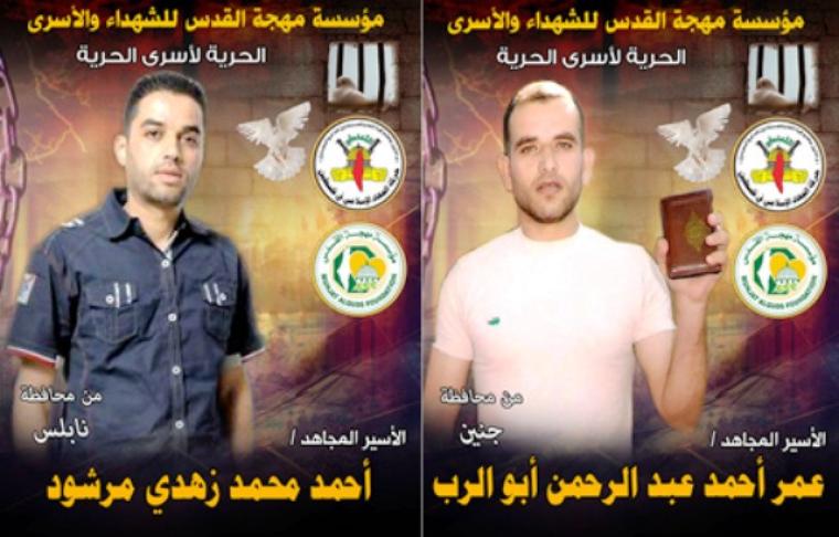 مرشود وأبو الرب
