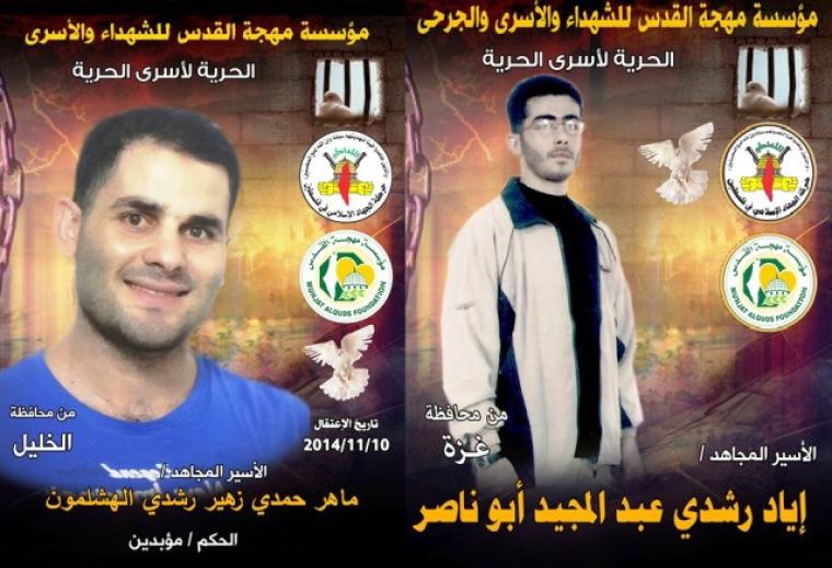 ابو ناصر والهشلمون