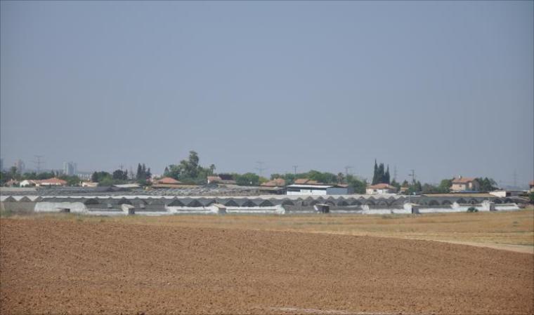 أرشيفية