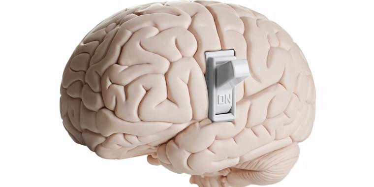 مفتاح-الدماغ