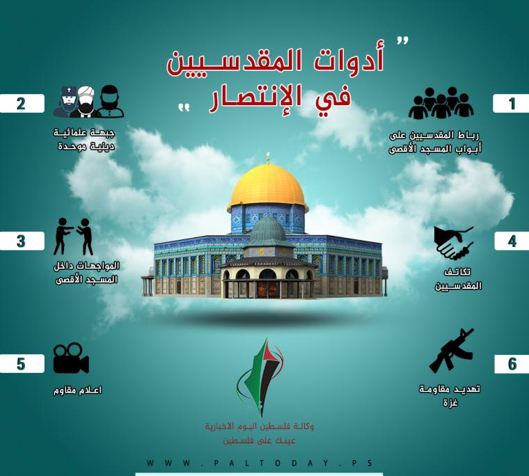 انفوجرافيك