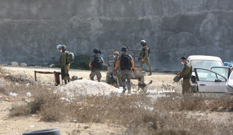 مستوطنون يسرقون سياجًا من داخل أراضي فلسطينية جنوب نابلس