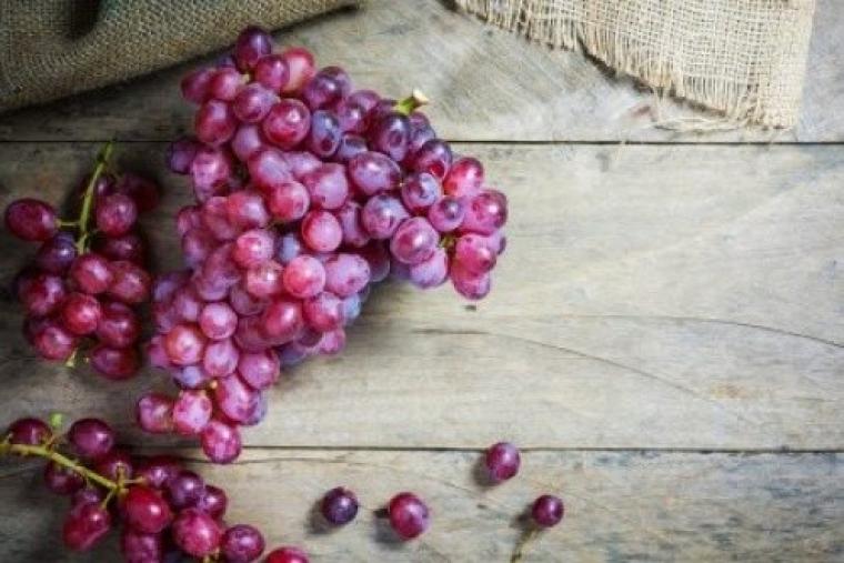 اطعمر تكافح السرطان