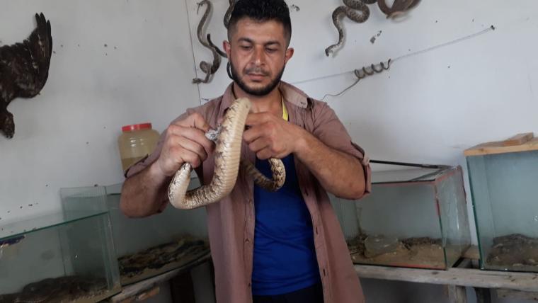 عبد الفتاح عسلية