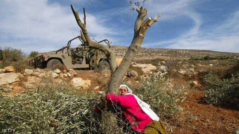 سيدة فلسطينية تتمسك بأرضه
