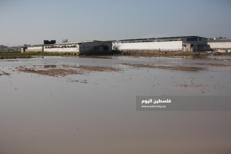 فتح سدود مياه الأمطار على أراضي المواطنين شرق حي الشجاعية (19).JPG