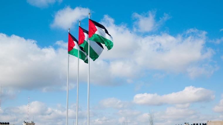 فلسطين - علم فلسطين