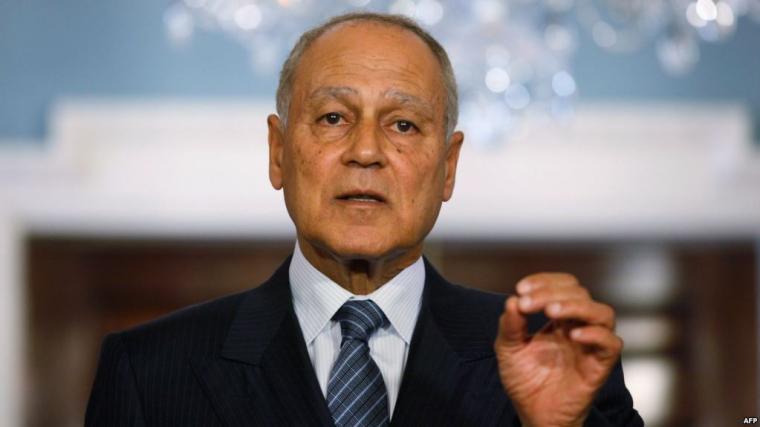 أحمد أبو الغيظ