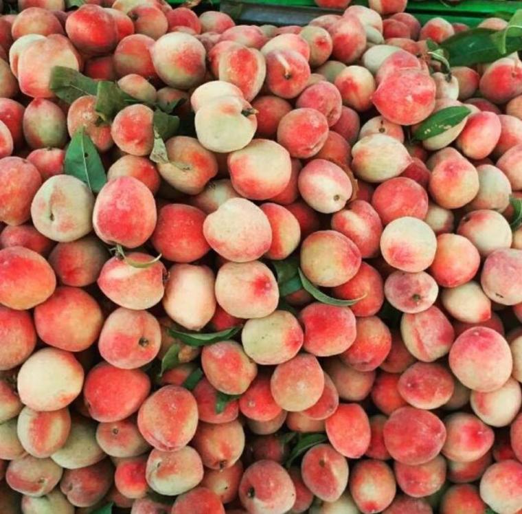 خوخ