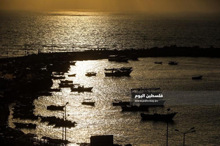 ميناء غزة (4)