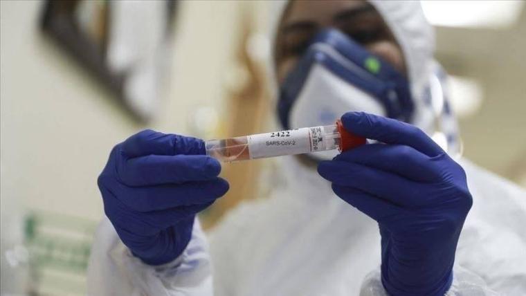 فيروس كوروناصحة غزة تسجل 159 إصابة جديدة بـ"كورونا" في الدورة الثانية