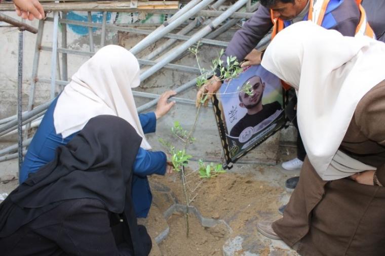 الزراعة 