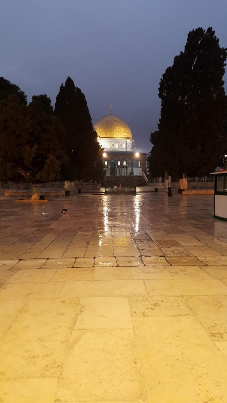 المسجد الاقصى ستوري