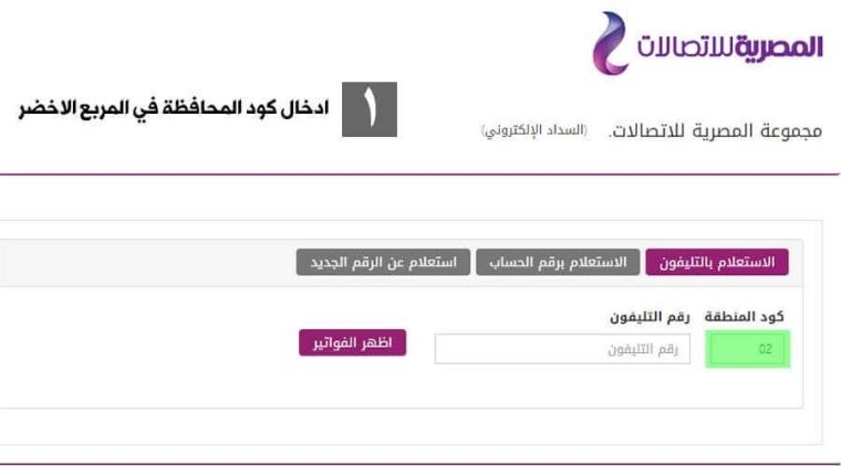  فاتورة التليفون الارضى لشهر يوليو ٢٠١٩ المصرية للاتصالات