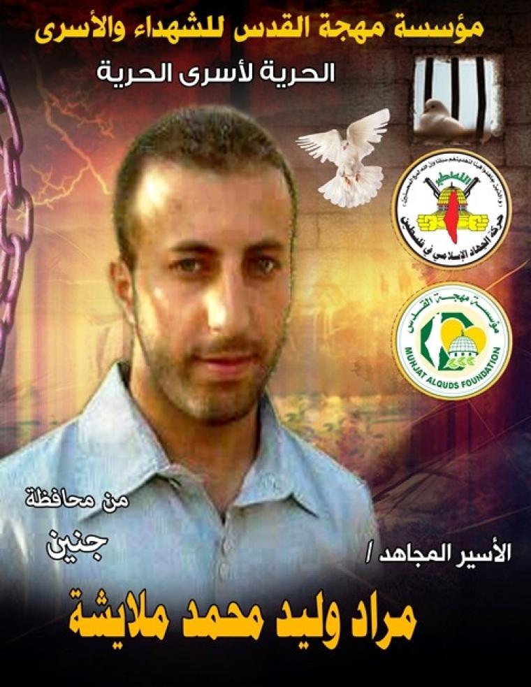 مراد ملايشة