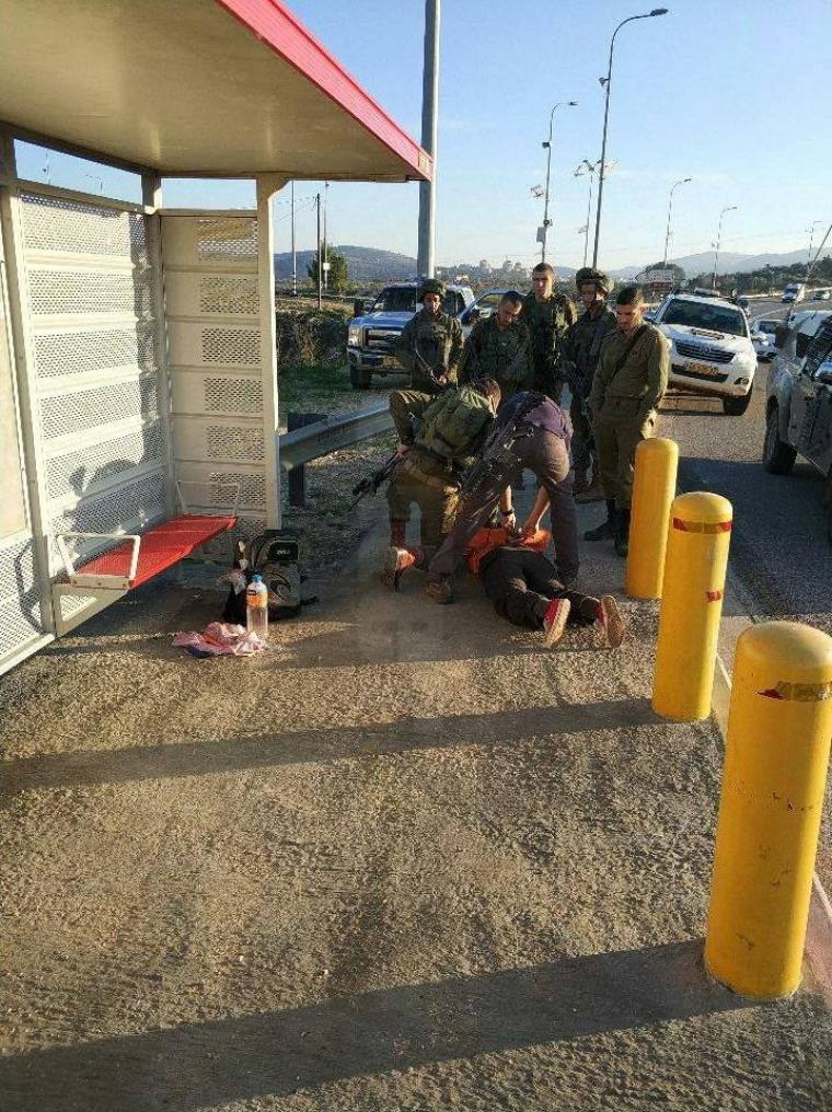 الاحتلال يعتقل 7 مواطنين بينهم 5 أطفال في الضفة
