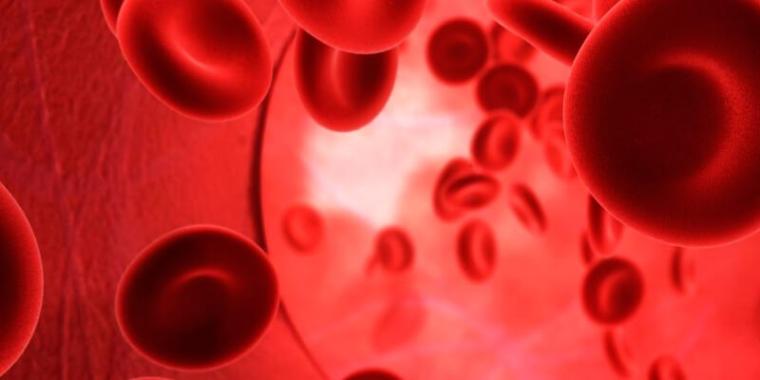 Thalassemia