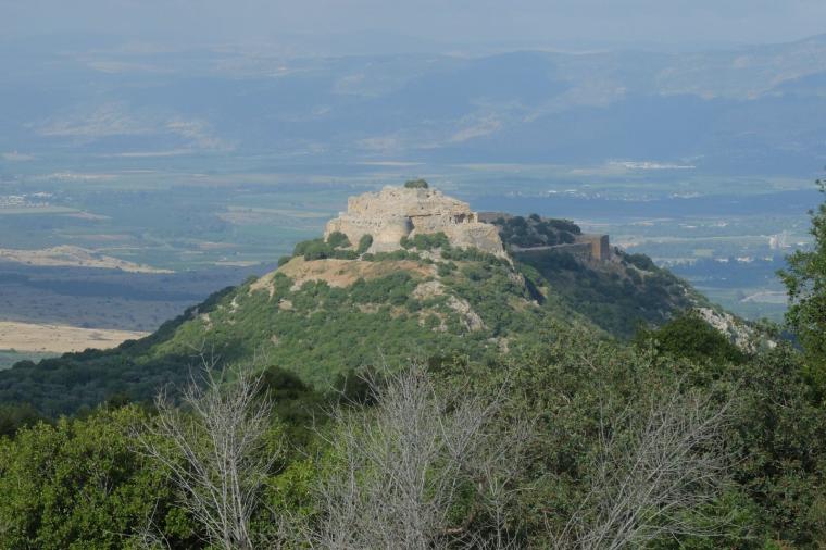 الجولان