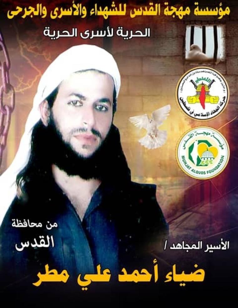 ضياء مطر