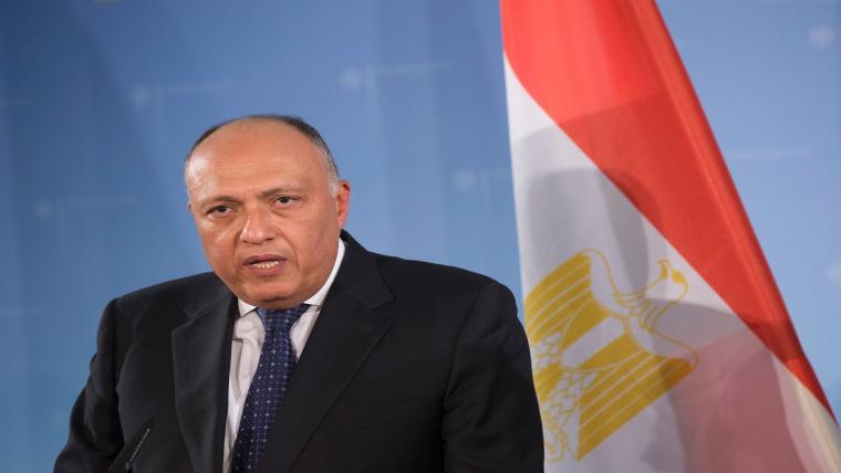 سامح شكري وزير الخارجية المصرية