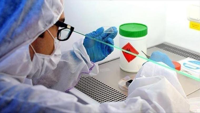 لقاح يقي من شلل الأطفال