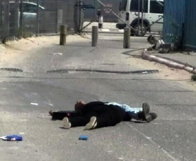 الشهيدان مرام ابو اسماعيل وشقيقها