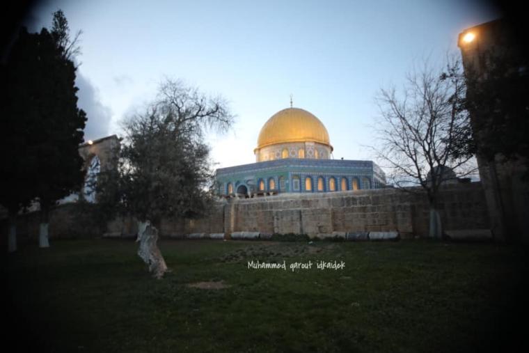 باحات المسجد الاقصى