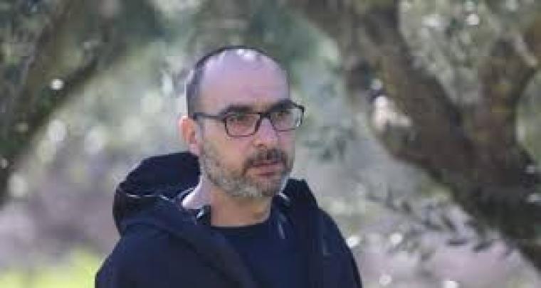 عنان نجيب