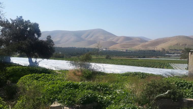 الاغوار 9
