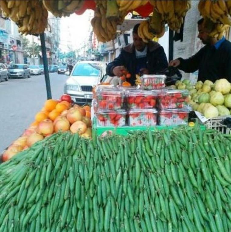 أسعار الخضروات والفواكه والدجاج في أسواق غزة