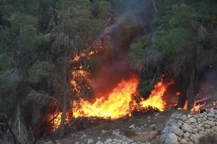 حرائق تلتهم أراضي المواطنين بسبب ارتفاع الحرارة