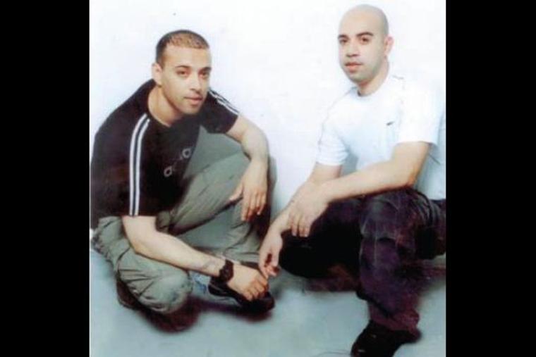 ضبايا