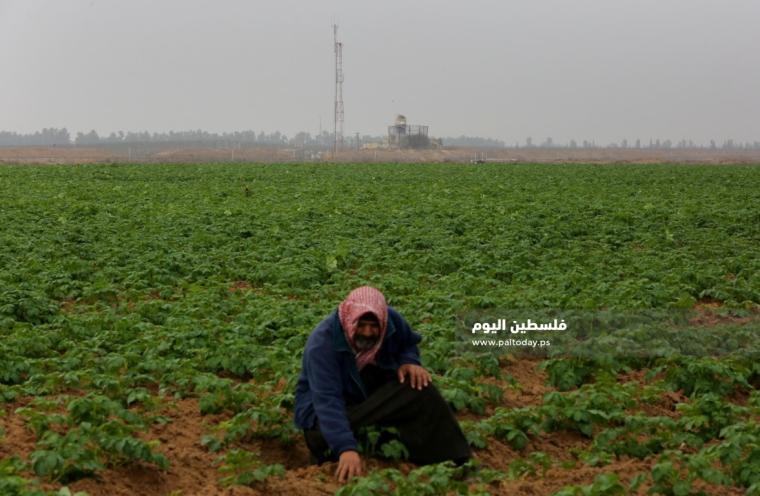 صورة تعبيرية
