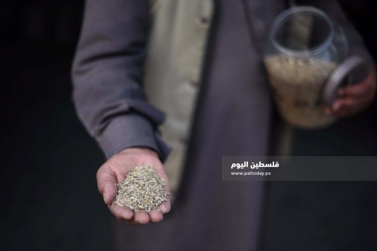 بنك البذور