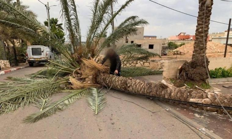 جانب من الاضرار