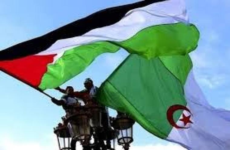 قانون يمنع الترويج للتطبيع مع اسرائيل بالجزائر